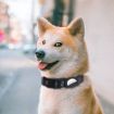 PUGGA GG1002 Dog GPS Collar for AirTag, Size L, Deep Gray Polyester - 6