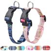 Geometric Print Ethnic Pet Collar for AirTag, Size L, Blue - 2