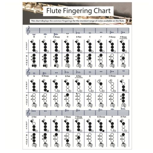 Large Coated Paper Flute Chord Fingering Practice Chart Staff - 1