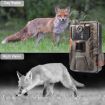 HC-900Pro 36MP 4K 4G Hunting Camera with APP Remote Control - 9