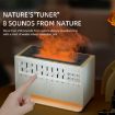 C221 Bluetooth White Noise Aromatherapy Humidifier - English Version - 8
