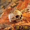 Aquarium Decoration Skull Hiding Ornament for Fish Lizard Snake - 3