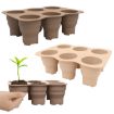 6 Holes Silicone Folding Nursery Box for Vegetables & Flowers, Skin Color - 3