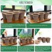 6 Holes Silicone Folding Nursery Box for Vegetables & Flowers, Skin Color - 8