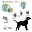 Flea & Tick Collar for Dogs Cats, 38cm, Orange, Aluminum Case - 5