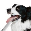 Ultrasonic Dog Teeth Cleaner - Electric Tartar Remover Tool (Black) - 4