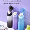 700ml Tritan Sports Water Bottle - Leak-proof, BPA Free, with Straw (Blue) - 3