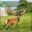 PR802LTE 4G Hunting Camera - European Version, Night Vision, Infrared - 7