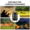 PR802LTE 4G Hunting Camera - European Version, Night Vision, Infrared - 9