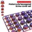 Purple Electroplated Titanium Hexagonal Screw Cap for E-Bike Motorcycle - 4