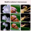 Purple Children Science Experiment Set Microscope Toys - Educational Kit - 5