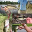 HENGJIA SO192 4.8cm Vegetable-Head Tube Lure 20pcs Pack, Style 15# Bait - 6