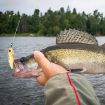 HENGJIA 4CM-7G Metal Lure 4 Colors Freshwater/Saltwater Bait - 7