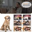 Ultrasonic Dog Teeth Cleaner Kit - Plaque & Tartar Remover, Black - 9