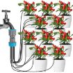 1.6m 10 Heads Lazy Watering Drip Kit for Home Gardening and Potting - 2