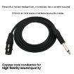 VEGGIEG 3Pin XLR Speaker Cable 0.5m, 6.5mm to XLR Female Audio - 3