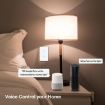 Graffiti Smart WIFI Fire Switch 1-Gang Gold - Model 120 US Gauge - 5
