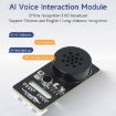 Yahboom Voice Interaction Module with Custom Commands - CI1302 Chip - 2
