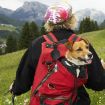 Retractable Anti-Loss Hangable Climbing Buckle - Outdoor Pull Buckle Black - 4