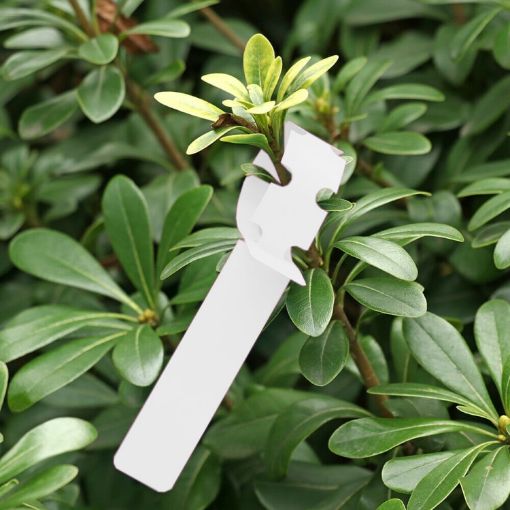 100 PCS White Hanging Tree Labels for Gardening Plant Saplings - 1