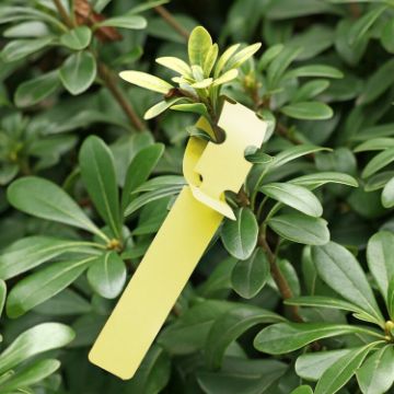 Yellow 100 PCS Gardening Plant Sapling Seed Hanging Tree Labels - 1
