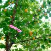 Yellow 100 PCS Gardening Plant Sapling Seed Hanging Tree Labels - 4