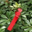 100 PCS Red Hanging Tree Labels for Gardening Plant Sapling Seeds - 1