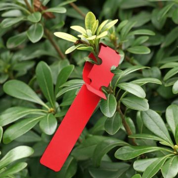 100 PCS Red Hanging Tree Labels for Gardening Plant Sapling Seeds - 1