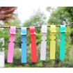 100 PCS Red Hanging Tree Labels for Gardening Plant Sapling Seeds - 5