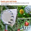 Metal Fruit Picker Tool for Apple & Peach Trees - Convenient Orchard Use - 3