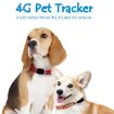 RF-V43 Waterproof GPS Pet Collar Tracker - Asia/Europe/Africa/Australia - 5