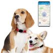 Waterproof RF-V43 GPS Pet Collar Tracker - Asia/Europe/Africa/Australia - 1