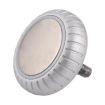 Apple Watch Series 10 42mm/46mm Crown Nut Replacement Silver - 3