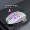 HXSJ T500 Hole Mouse - 2.4G Backlight Rechargeable Wireless (Black) - 7