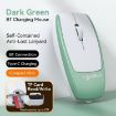 HXSJ M109 Mini Wireless Mouse, 3D Right, TF Card Reader, 4D Mute, Green - 3